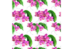Seamless Pattern with Orchid: Premium Patterns Review