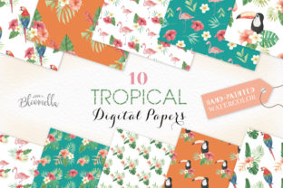 Seamless Patterns Tropical Flamingo Set Review