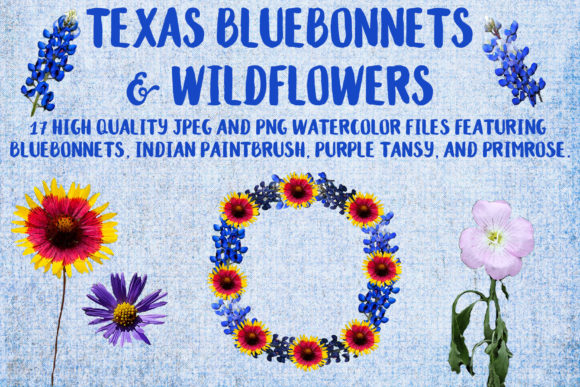 Texas Bluebonnets Wildflowers Decorative Elements