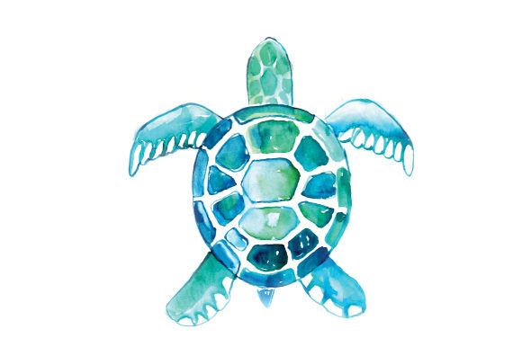 Watercolor Turtle: A Review for Animals Branding