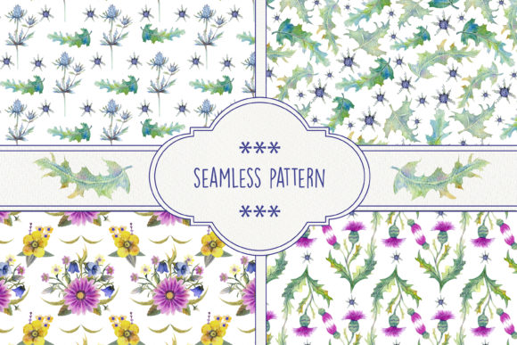 Wildflowers, Thistles, Prickly Leaves Review